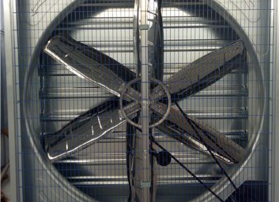 點(diǎn)擊查看詳細(xì)信息<br>標(biāo)題：Heavy Hammer Type Animal Husbandry Fan 閱讀次數(shù)：1648