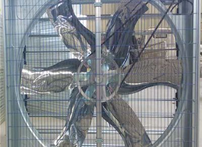 點(diǎn)擊查看詳細(xì)信息<br>標(biāo)題：Push Pull Negative Pressure Fan 閱讀次數(shù)：1438